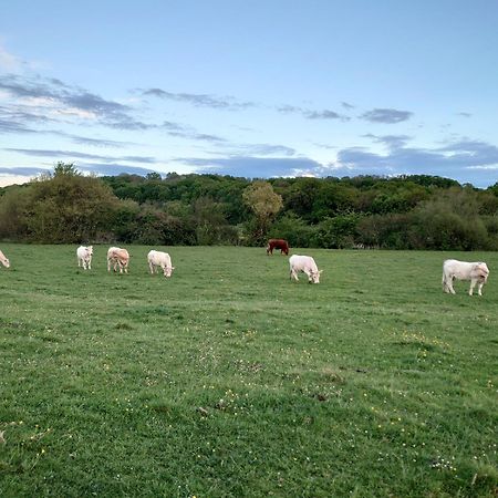 Chambre D'Hotes Juste-Confortable Fleurey-les-Lavoncourt Exterior foto